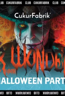 Cukurfabrik` Wonderland