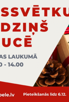 ZIEMASSVĒTKU TIRDZIŅŠ Aucē