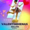 Valentīndienas ballīte ar DJ Paulu