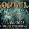 SOULFLY + support