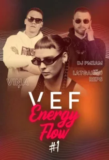 VEF Energy flow #1