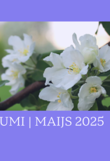Mātes dienas koncerts Briģu KN