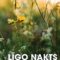 Līgo nakts Siguldā