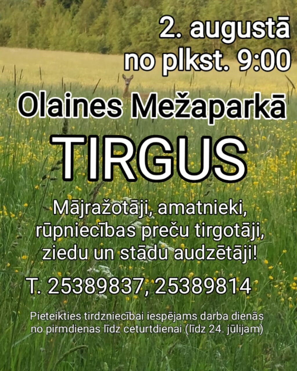Tirgus