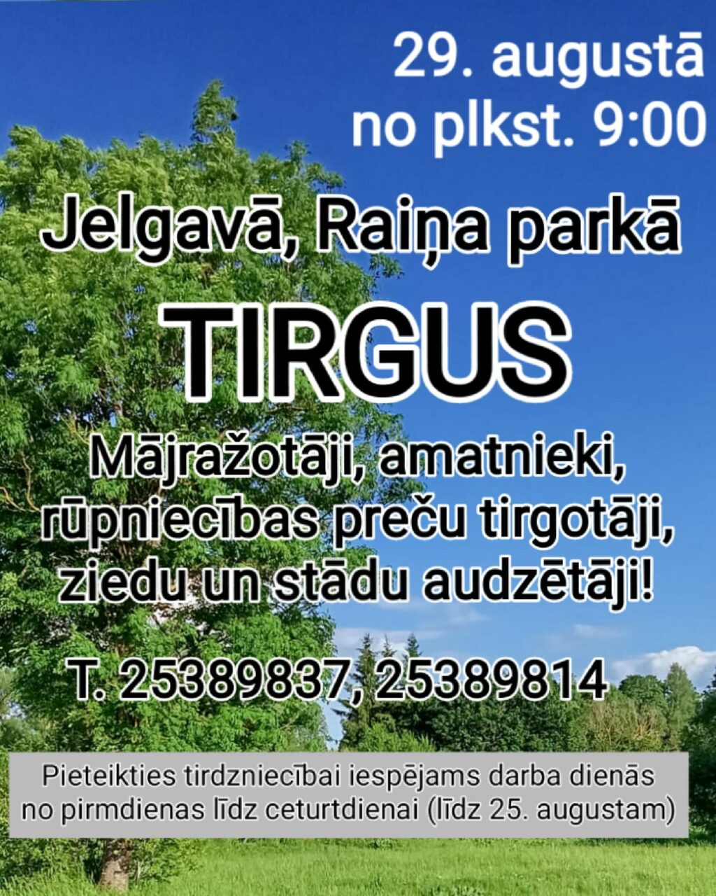 Tirgus