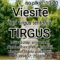 Tirgus