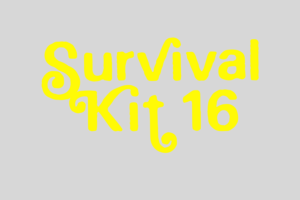 Survival Kit 16 – laikmetīgās mākslas festivāls Rīgā 2025. gadā