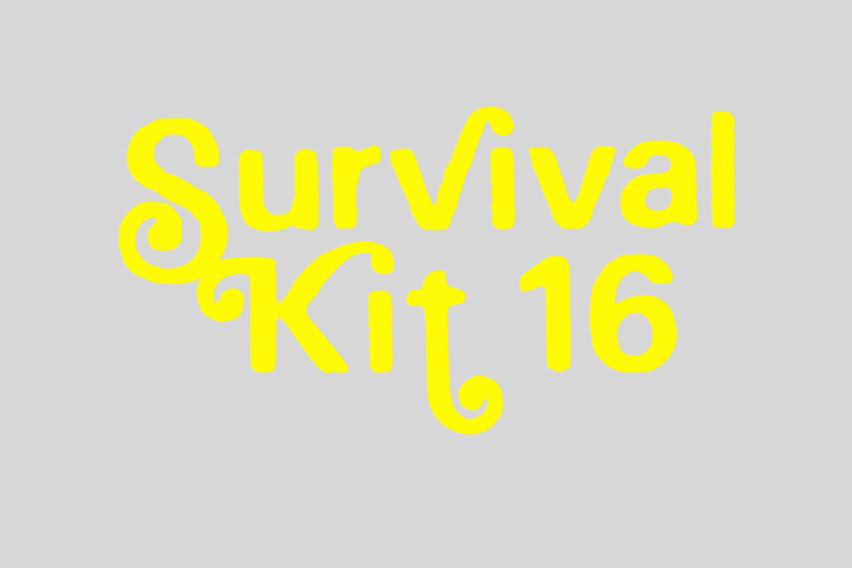 Survival Kit 16 – laikmetīgās mākslas festivāls Rīgā 2025. gadā
