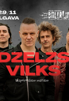 DZELZS VILKS
