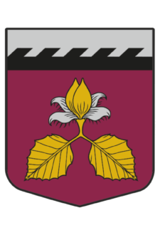 Valsts svētku balle