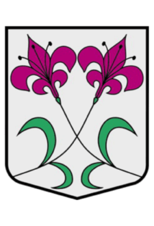 Lāčplēša dienas pasākums "Gaismas ceļš"