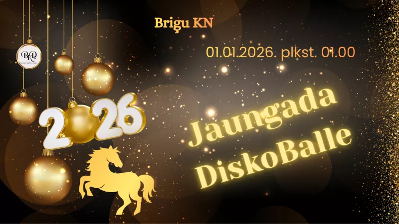 Jaungada DiskoBalle Briģu KN