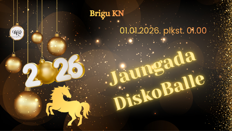 Jaungada DiskoBalle Briģu KN