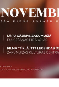 Lāčplēša dienas lāpu gājiens Zaķumuižā