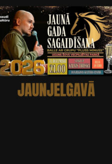 Jaunā gada sagaidīšana Jaunjelgavā