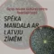 Meistarklase SPĒKA MANDALA AR LATVJU ZĪMĒM