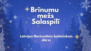 Ziemassvētku sajūtu dārzs “Brīnumu mežs