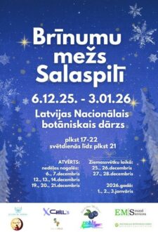 Brīnumu mežs Salaspilī