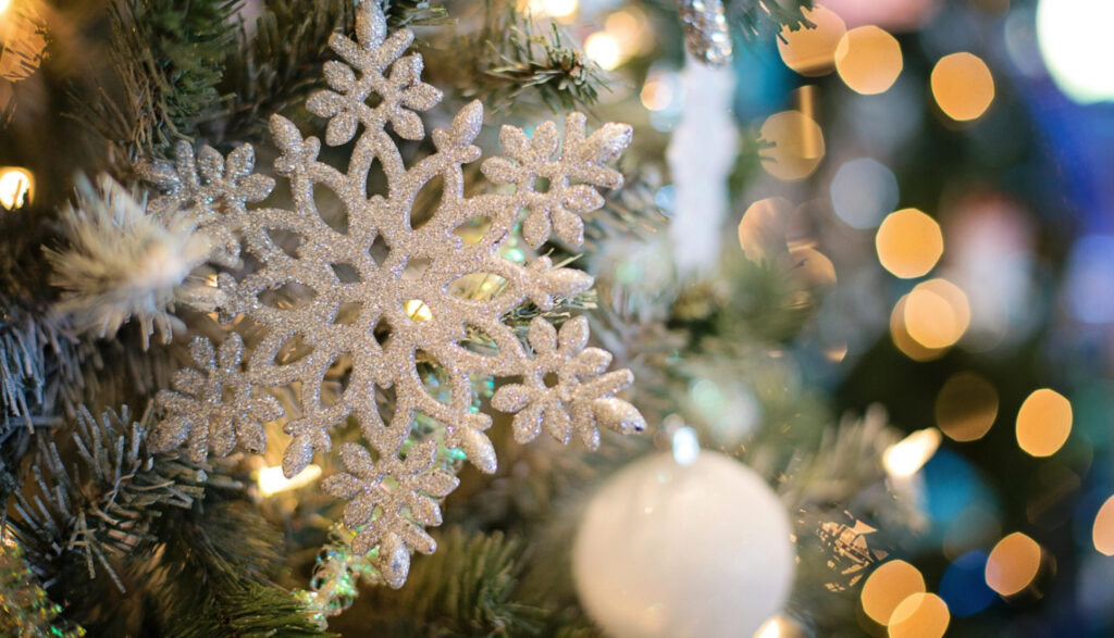 Ziemassvētku sarīkojums “Egles stāsts – no sēkliņas līdz gaismas svētkiem”