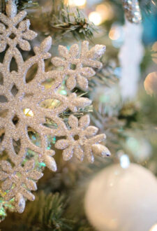 Ziemassvētku sarīkojums “Egles stāsts – no sēkliņas līdz gaismas svētkiem”