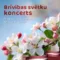 Brīvības svētku koncerts