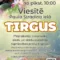 Tirgus