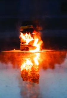 Vasaras saulgrieži Lēdurgā