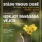 STĀDU TIRGUS OGRĒ