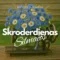 SKRODERDIENAS SILMAČOS