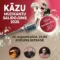 KĀZU MUZIKANTU SALIDOJUMS 2026