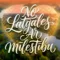 NO LATGALES AR MĪLESTĪBU