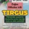Tirgus