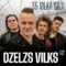 DZELZS VILKS. 35 VILKA GADI